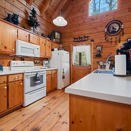 Cozy Cabin Beside Briar Creek, Fire Pit, Wifi Villa Ellijay Dış mekan fotoğraf