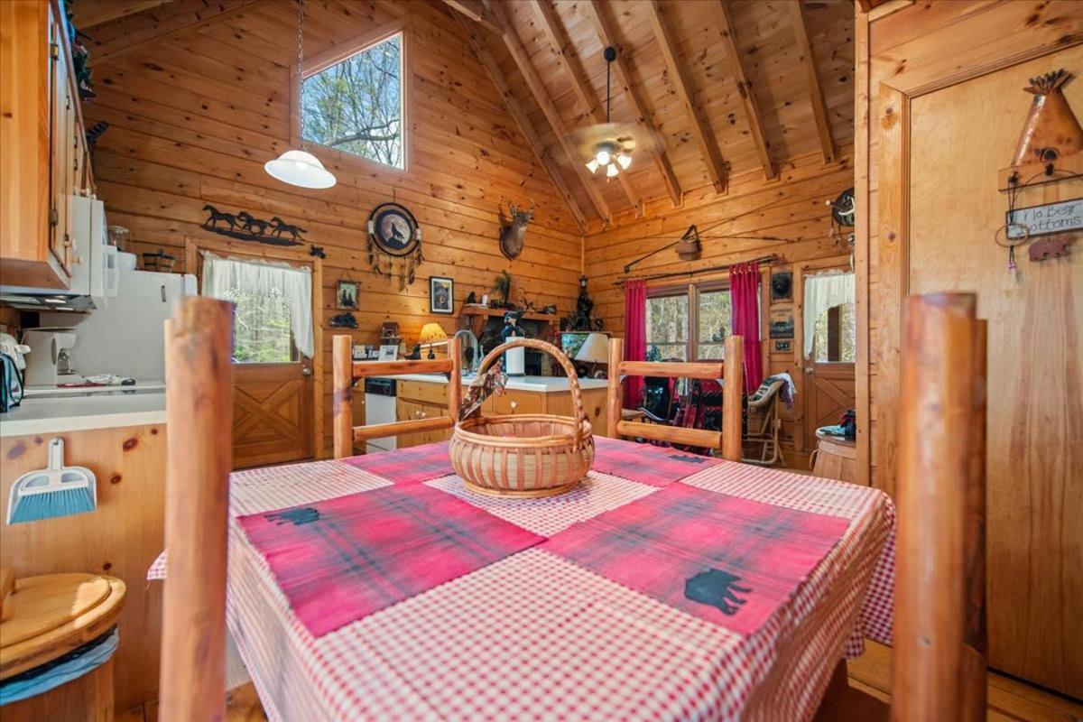 Cozy Cabin Beside Briar Creek, Fire Pit, Wifi Villa Ellijay Dış mekan fotoğraf