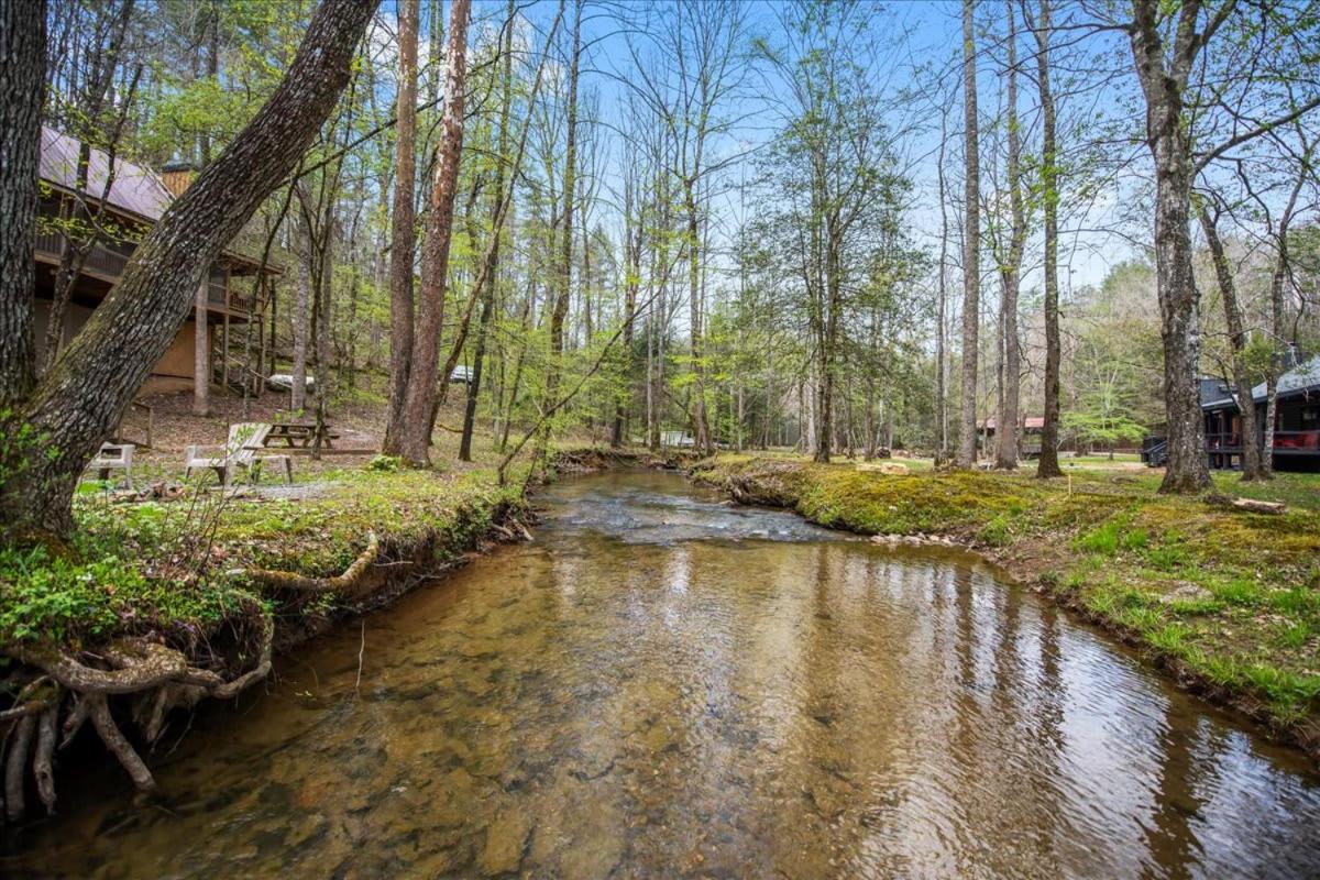 Cozy Cabin Beside Briar Creek, Fire Pit, Wifi Villa Ellijay Dış mekan fotoğraf