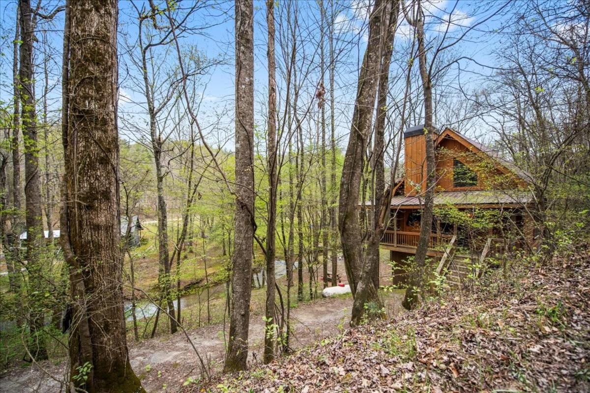 Cozy Cabin Beside Briar Creek, Fire Pit, Wifi Villa Ellijay Dış mekan fotoğraf